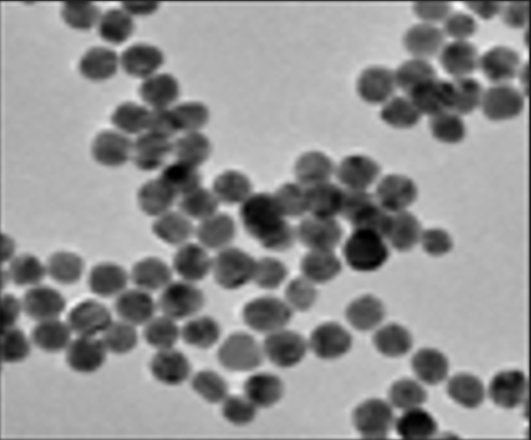 PEG修饰金纳米颗粒