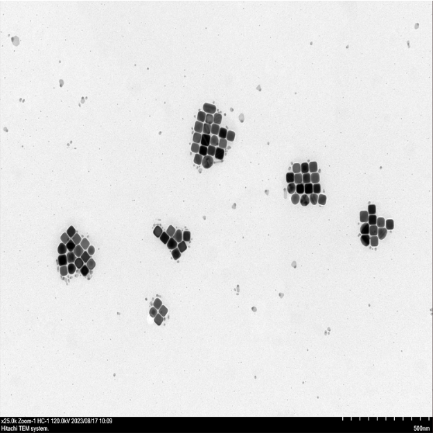 银纳米立方（CTAC包覆）