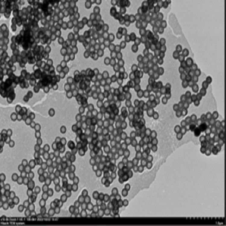 羧基中空介孔二氧化硅纳米颗粒