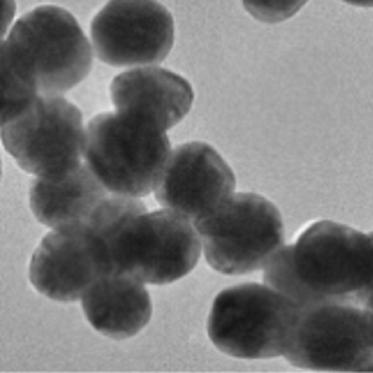 银包金复合纳米颗粒