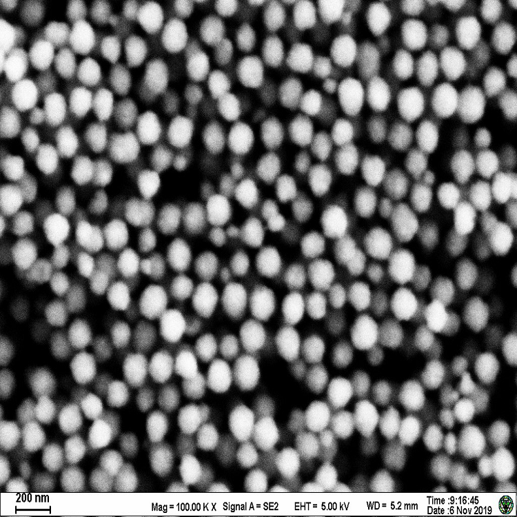 羧基磁珠（100nm-100um）