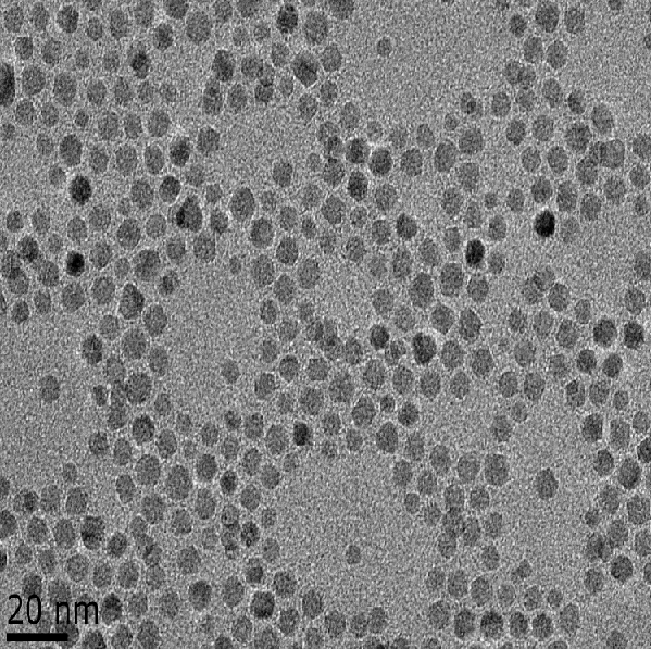 链霉亲和素修饰磁性纳米颗粒